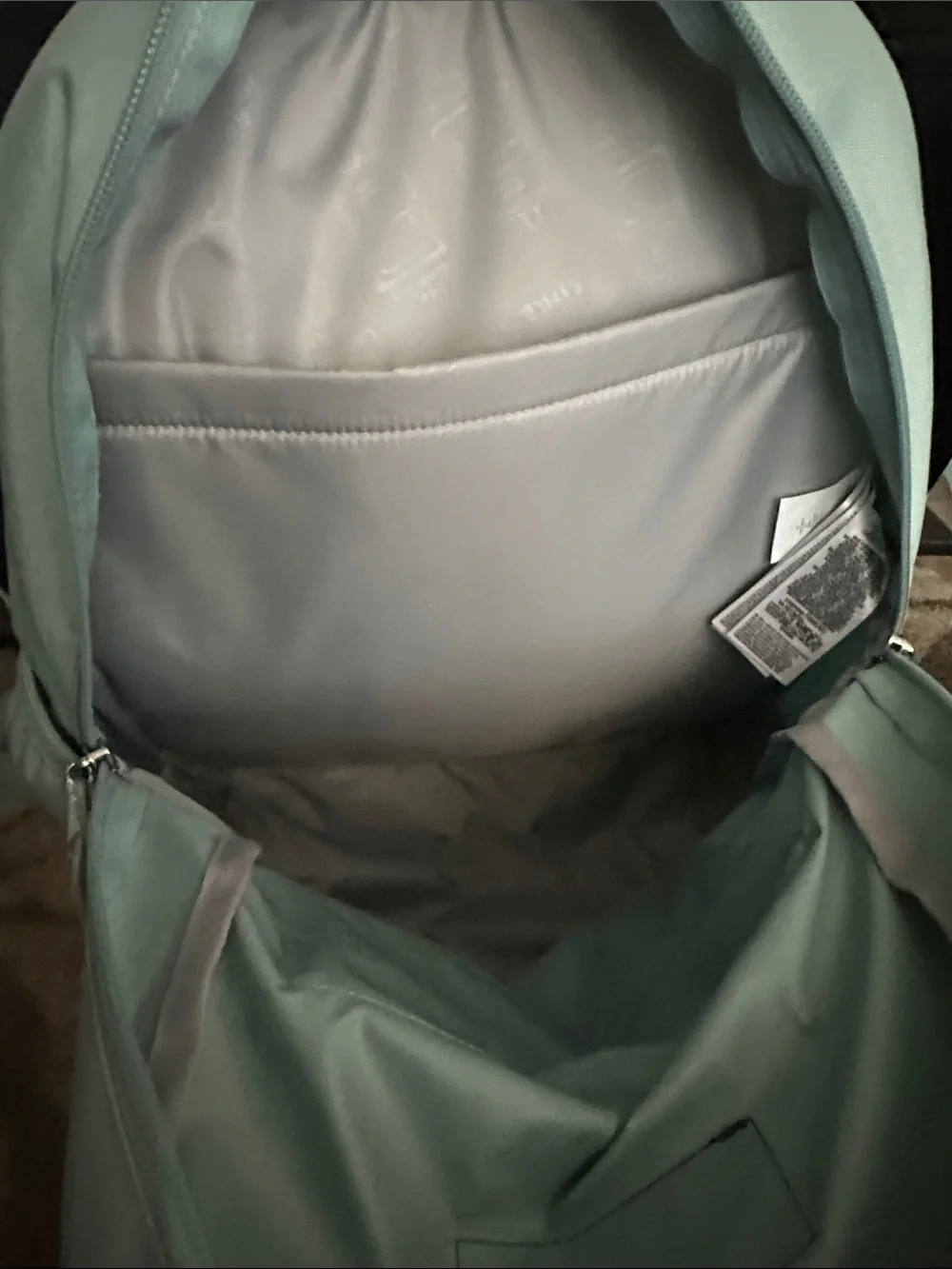 Jansport classic sage